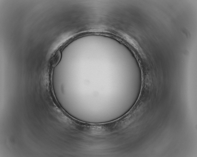 X0000112431456200909111020