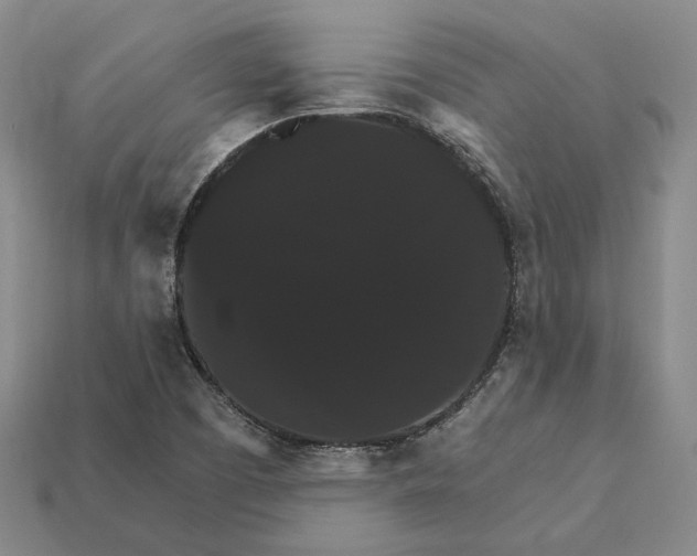 X0000112431457200909111020