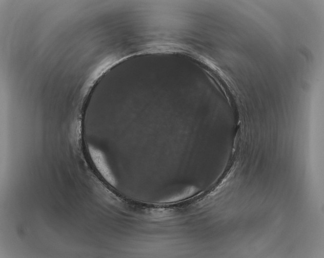 X0000112431459200909111020