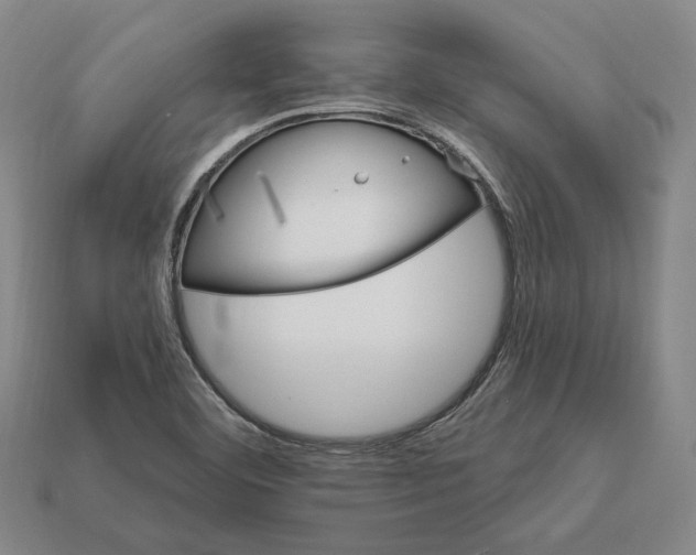 X0000112431460200909111020