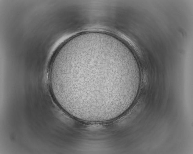 X0000112431462200909111020