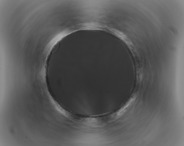 X0000112431463200909111020