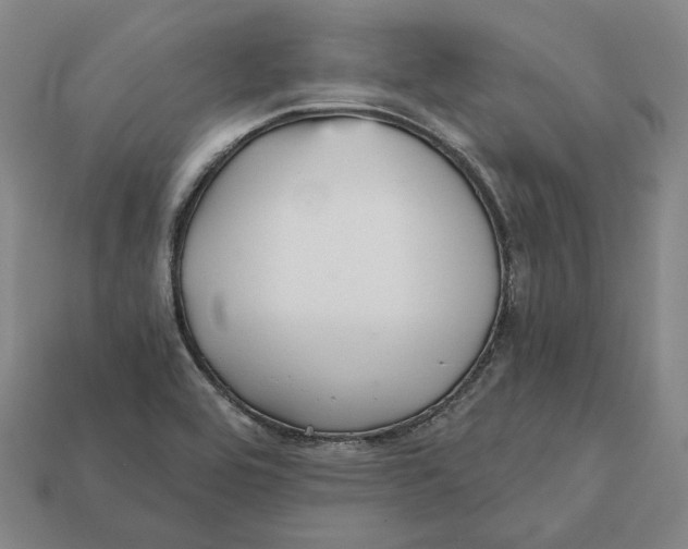 X0000112431464200909111020