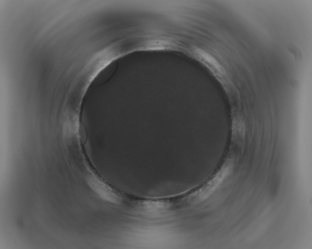 X0000112431465200909111020