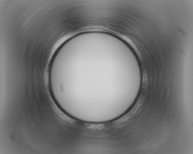 X0000112431466200909111020