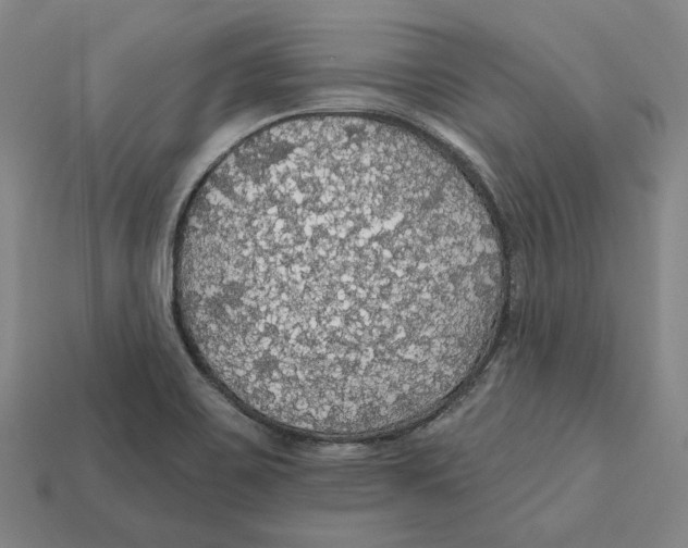 X0000112431467200909111020