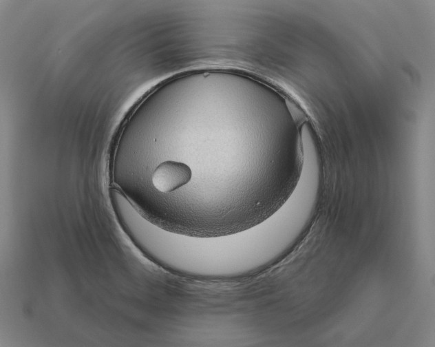 X0000112431468200909111020