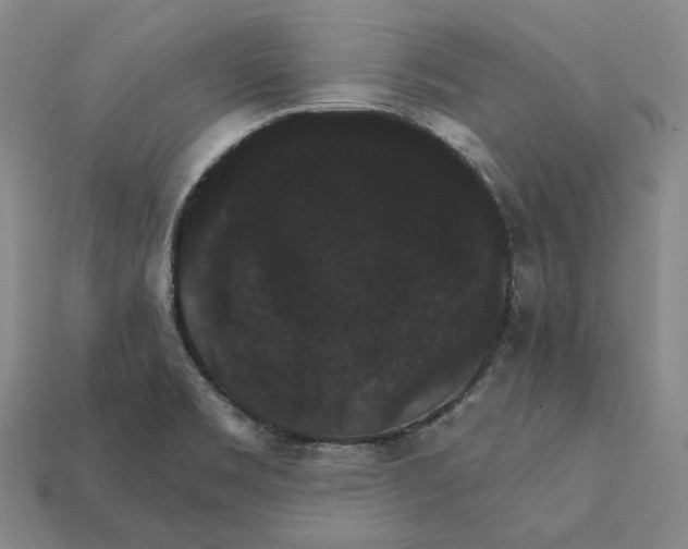 X0000112431469200909111020