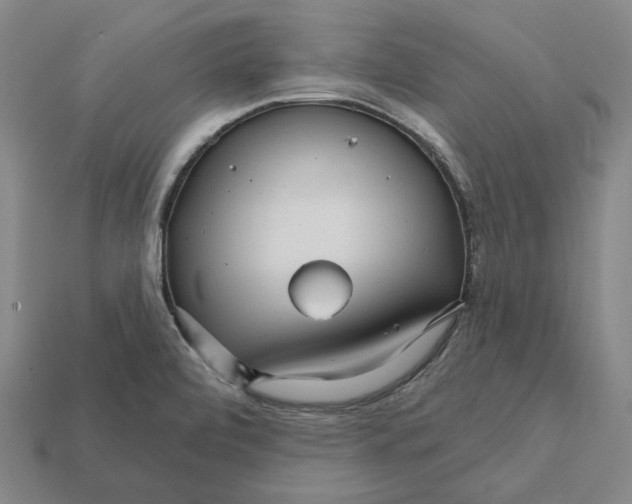 X0000112431472200909111020