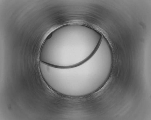 X0000112431473200909111020