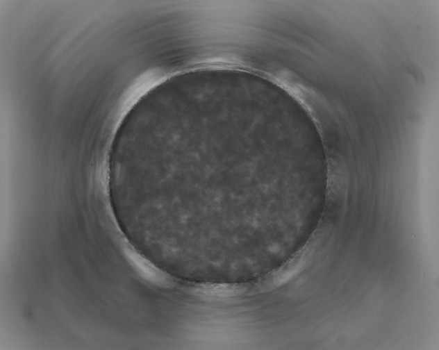 X0000112431474200909111020