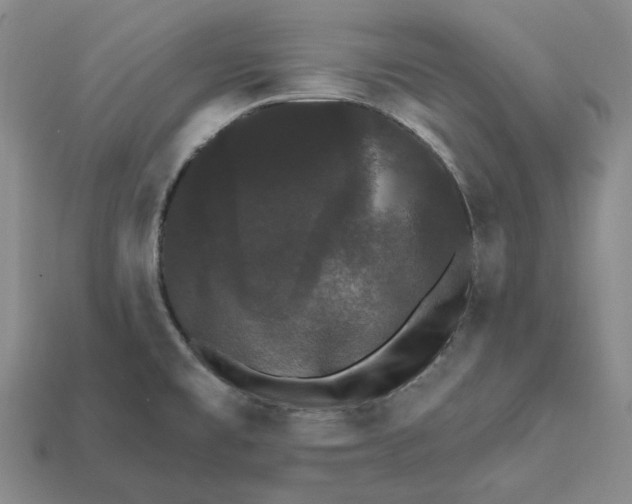 X0000112431477200909111020