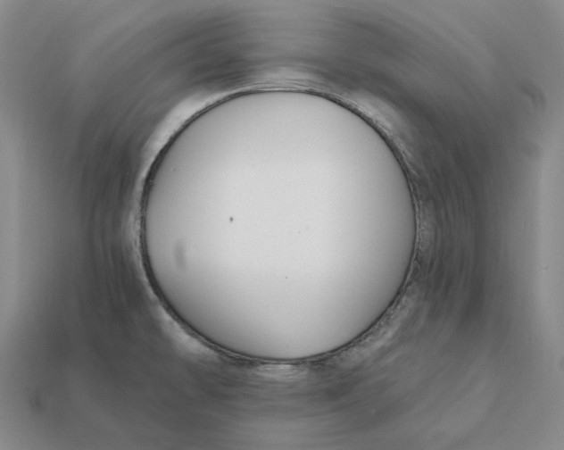 X0000112431478200909111020