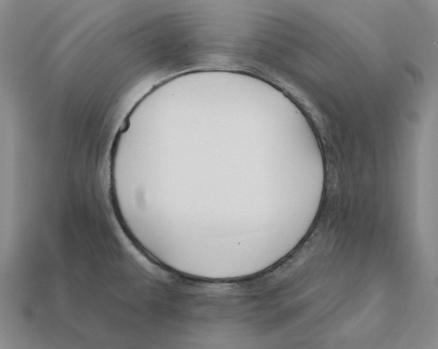 X0000112431479200909111020