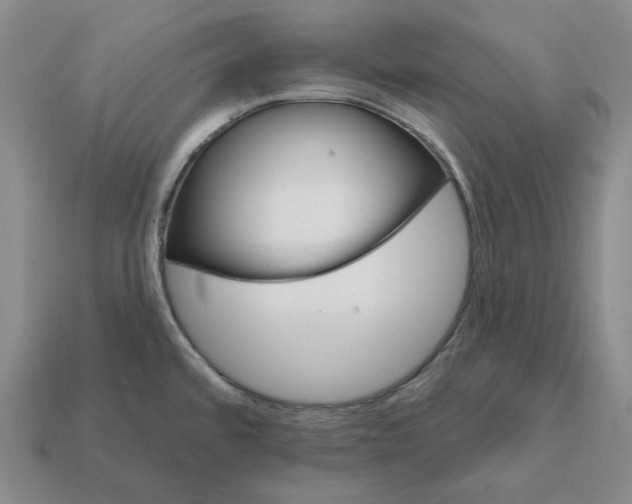 X0000112431480200909111020