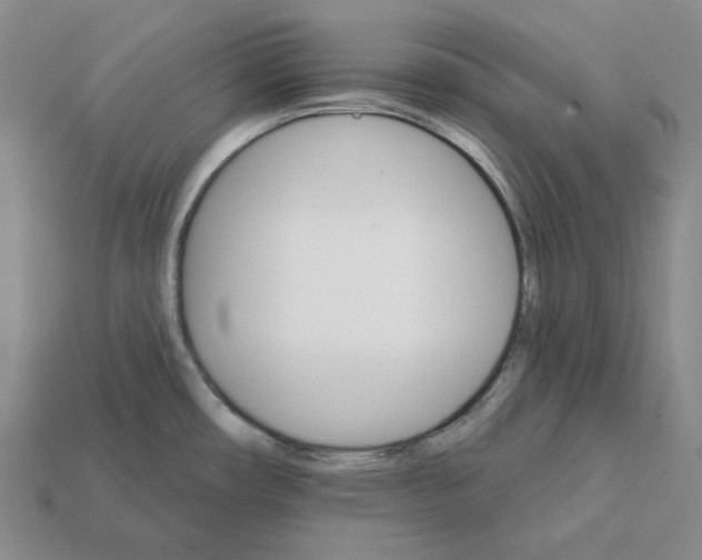 X0000112431482200909111020