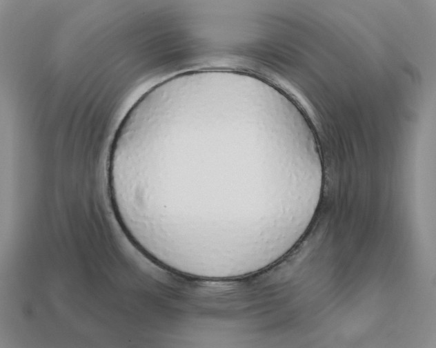 X0000112431483200909111020