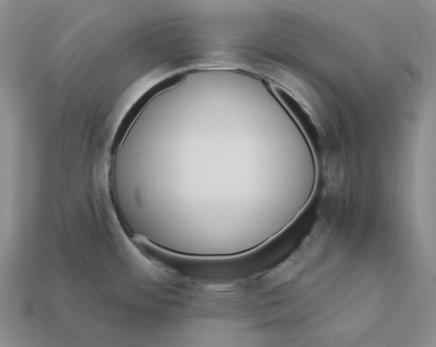 X0000112431484200909111020