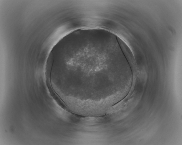 X0000112431485200909111020