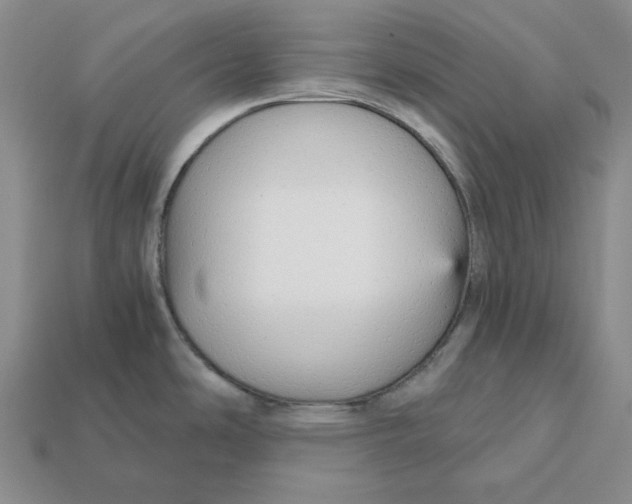 X0000112431486200909111020