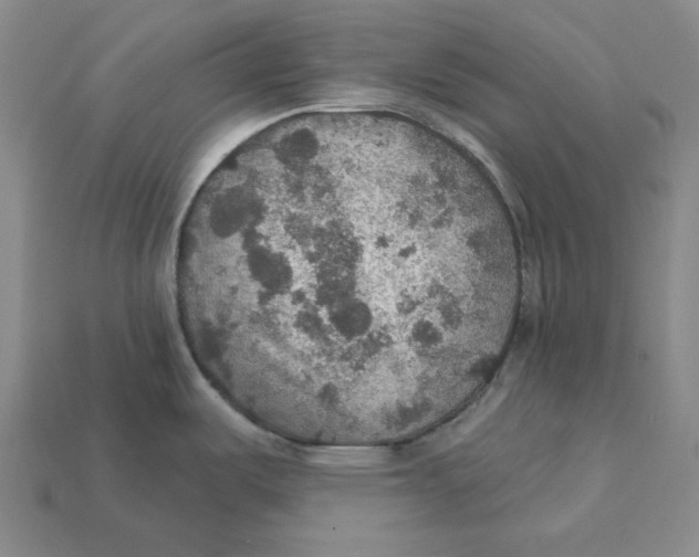 X0000112431487200909111020