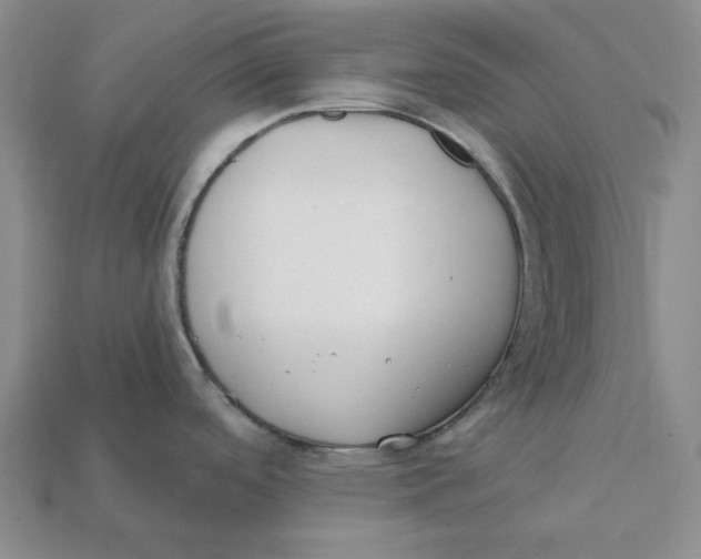 X0000112431488200909111020