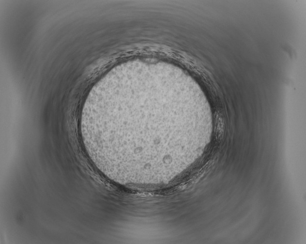 X0000112431489200909111019