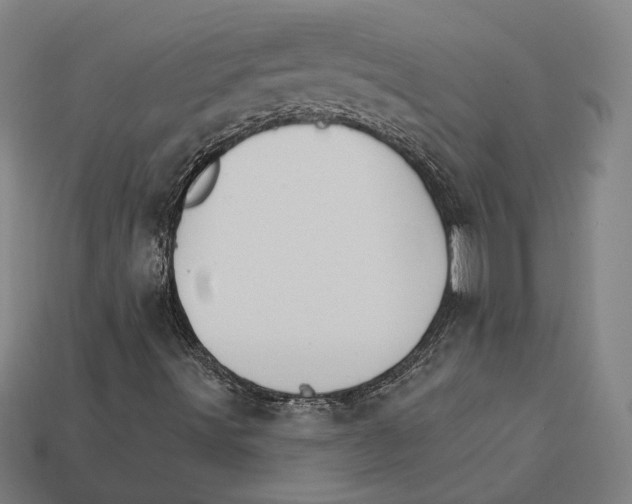 X0000112431491200909111019