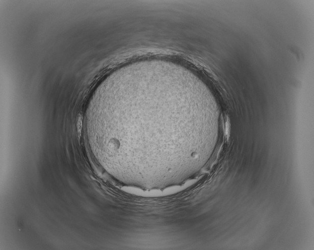 X0000112431492200909111019
