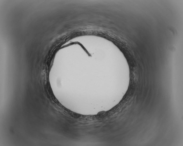 X0000112431493200909111019