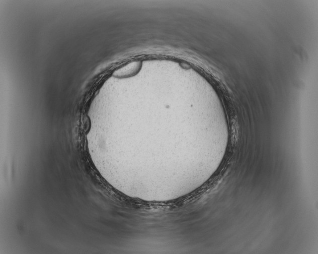X0000112431494200909111019