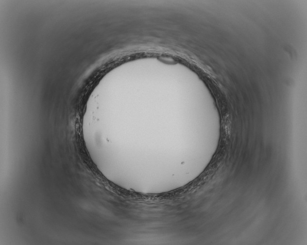 X0000112431495200909111019