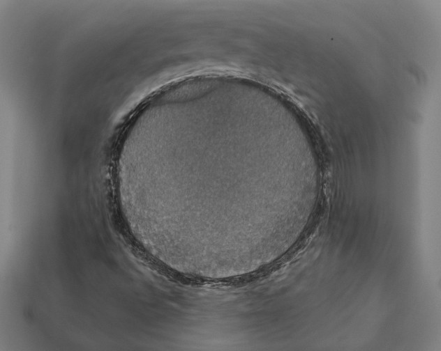 X0000112431496200909111019