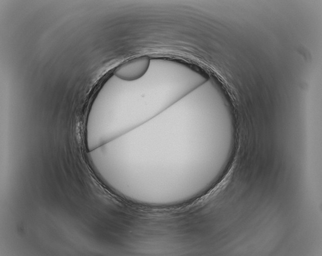 X0000112431497200909111019