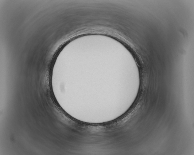 X0000112431498200909111019