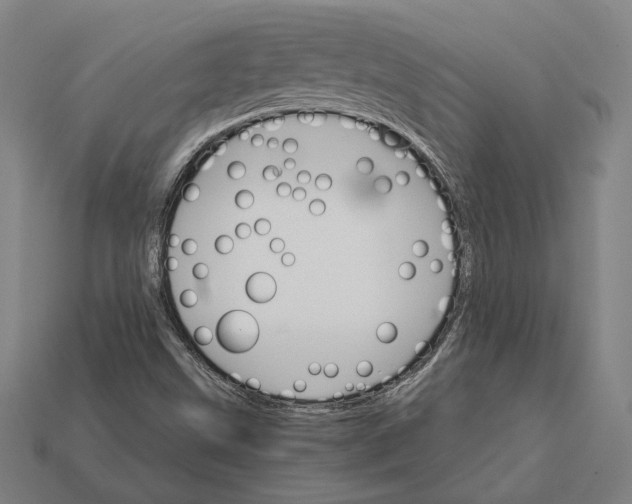 X0000112431499200909111019