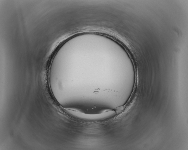 X0000112431501200909111019