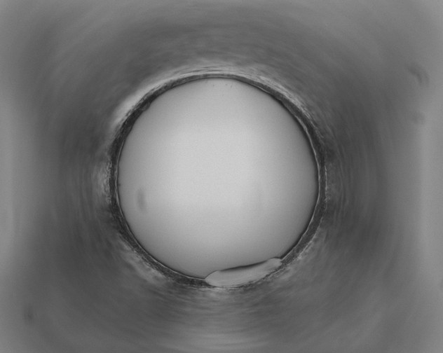 X0000112431502200909111019