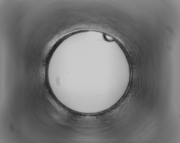 X0000112431503200909111019