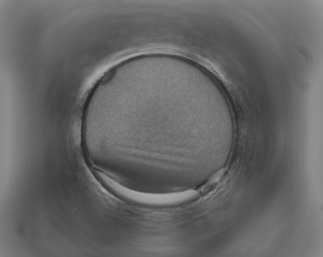 X0000112431504200909111019