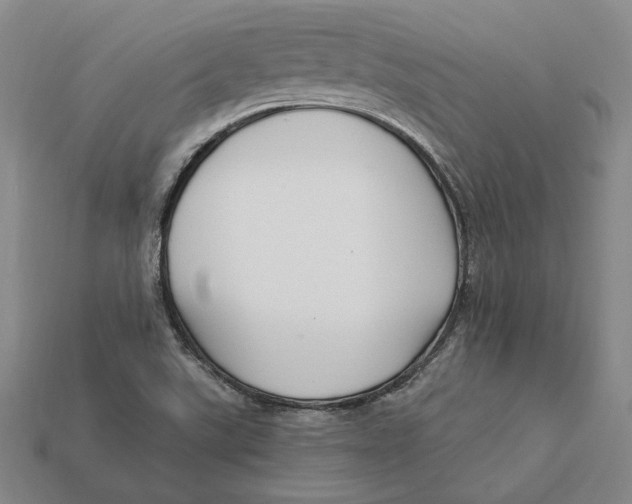 X0000112431507200909111020