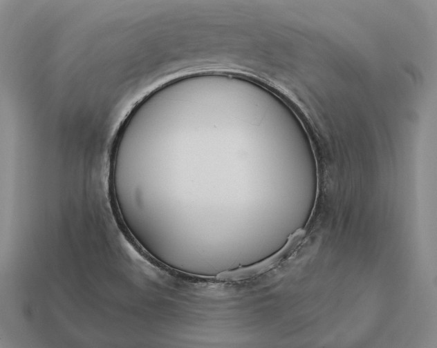 X0000112431508200909111020