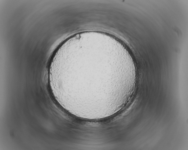 X0000112431509200909111020