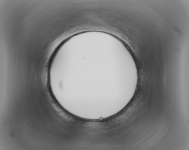 X0000112431511200909111020