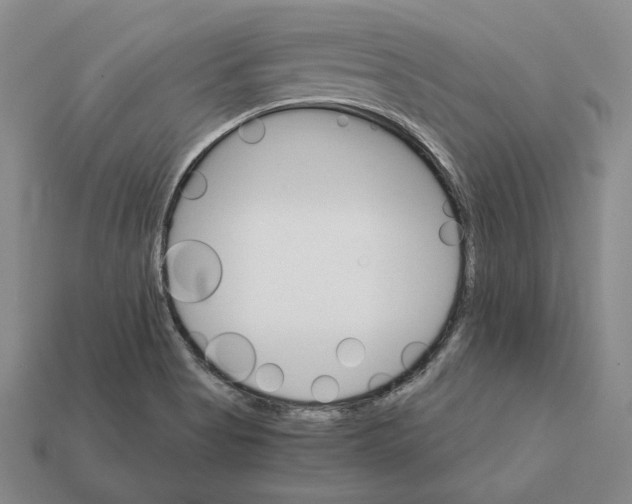 X0000112431513200909111020
