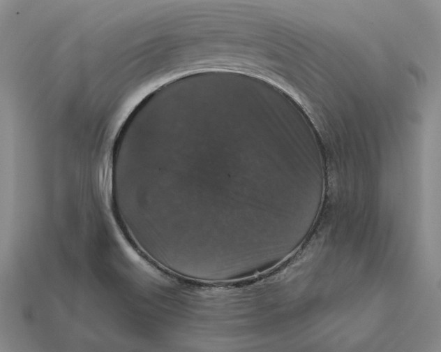 X0000112431515200909111020