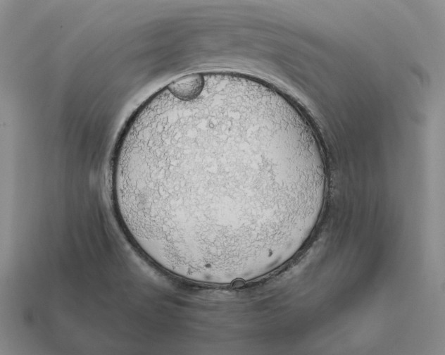 X0000112431517200909111020