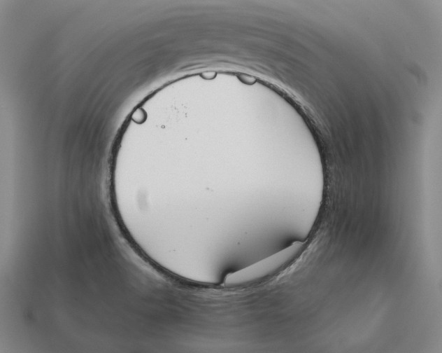 X0000112431518200909111020