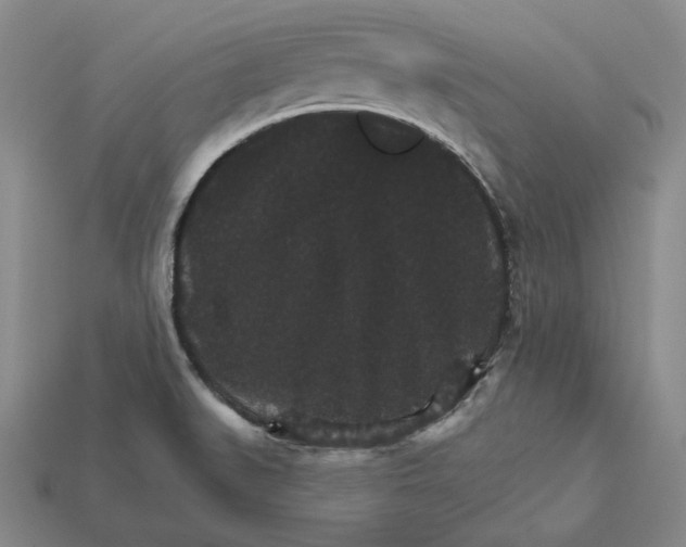 X0000112431519200909111020