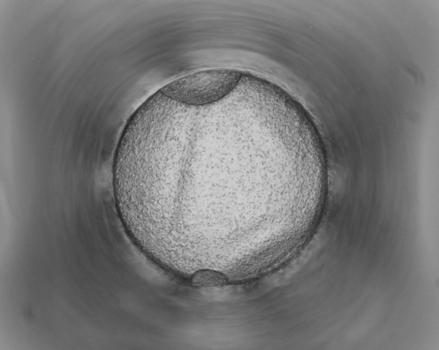 X0000112431521200909111020